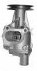 FIAT 7617364 Water Pump